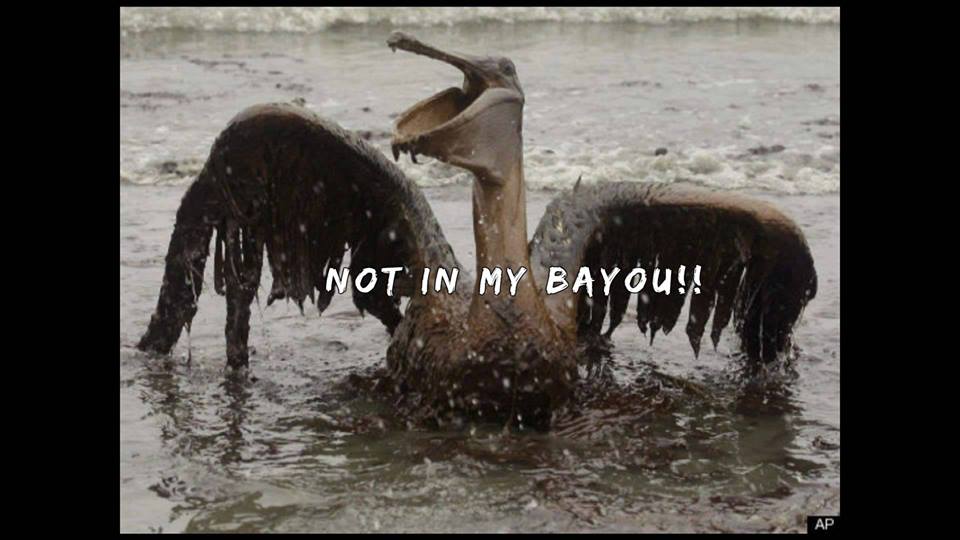 not in my bayou