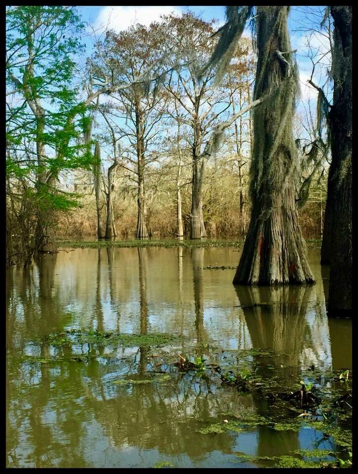 l'eau est la vie camp