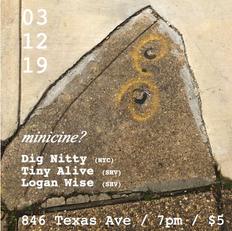 Dig Nitty / Tiny Alive / Logan Wise flyer