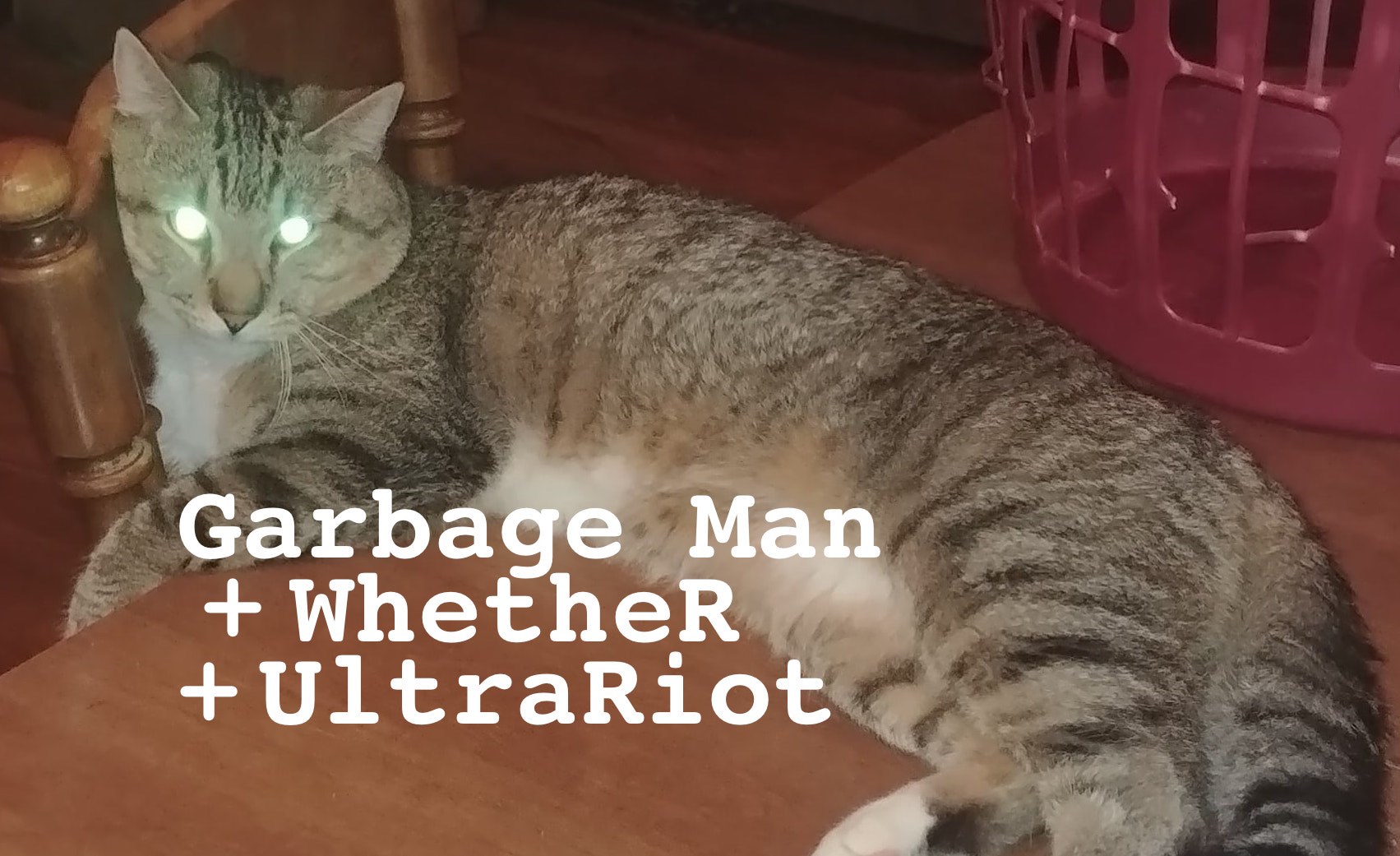 Garbage Man (WI) / WhetheR / UltraRiot flyer